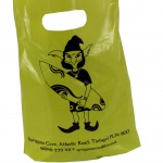 biodegradable shopping bags