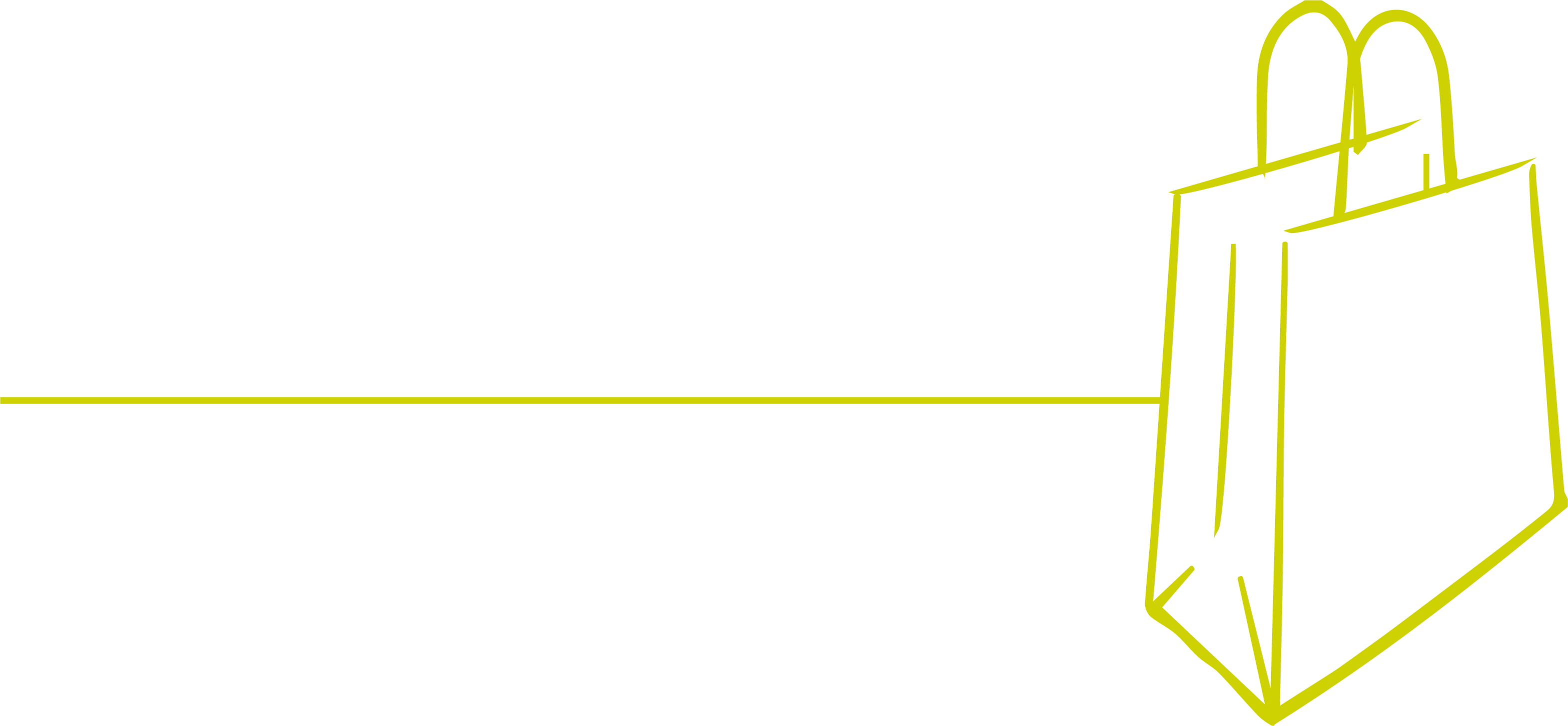 Printed Paper Carrier Bags